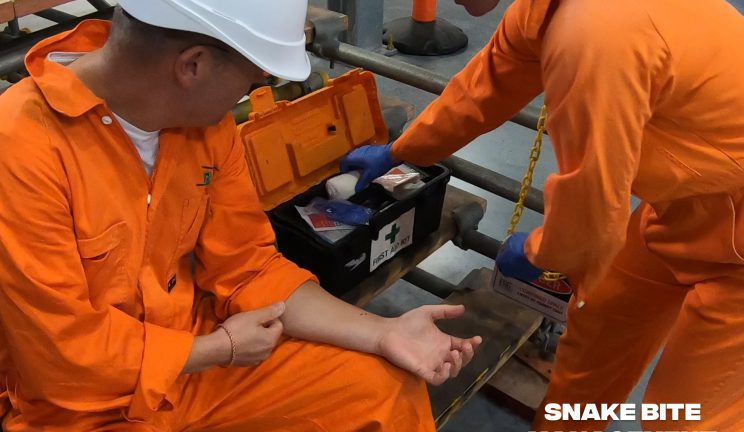 First aid training course in Perth and Darwin teaches students how to aid snake bites