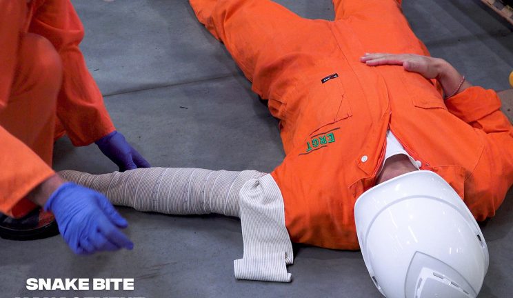 ERGT PFA course teaches students snake bite management